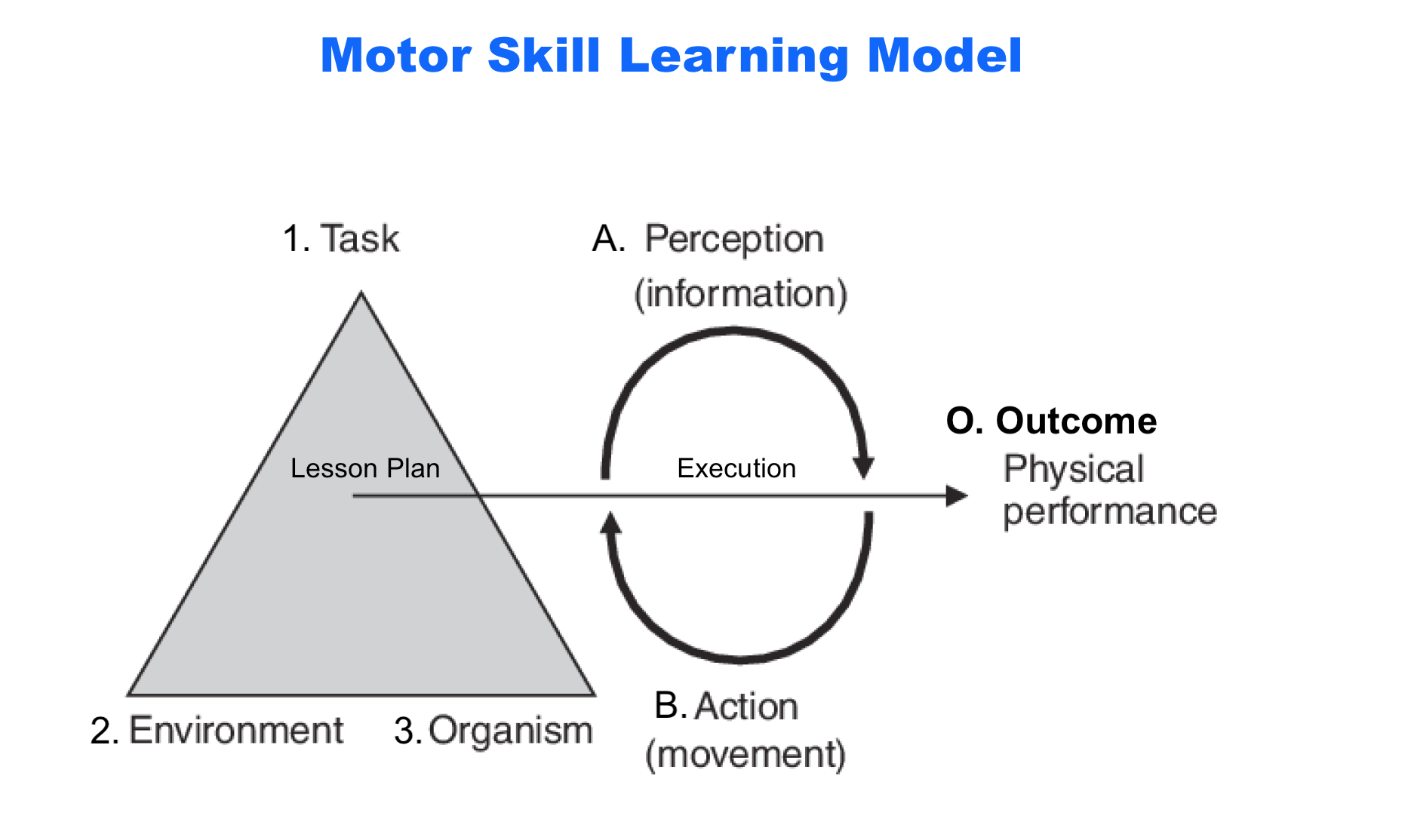 Motor Skill Learning in environment.